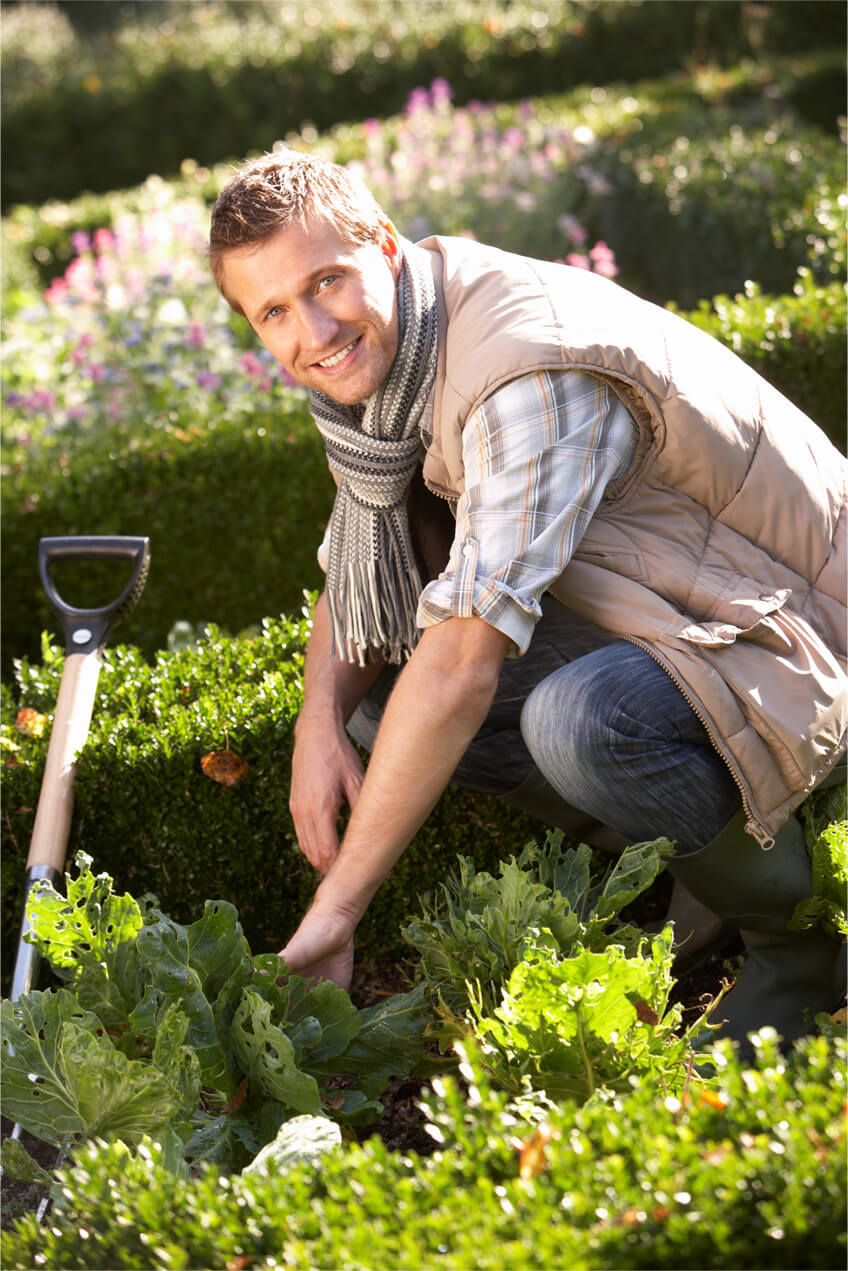 Employé effectuant un entretien horticole