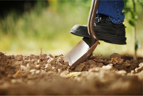 Creusement de la terre pour l'entretient horticole